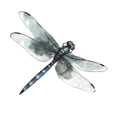 水墨平面印象透明背景蜻蜓插画