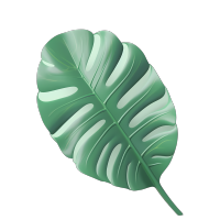 芭蕉叶柔和色调图形设计素材