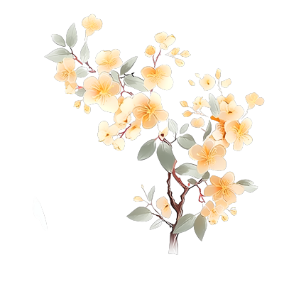 中国风透明花卉插画素材