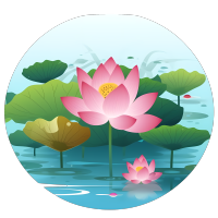 池塘里长满莲花莲叶PNG素材