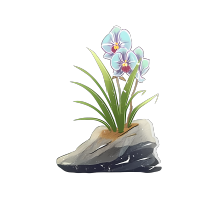 石头上的兰花素材PNG