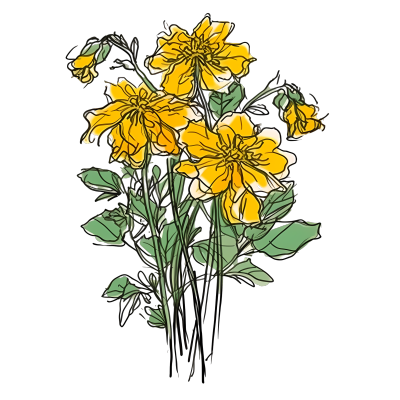 黄色花束插画风格PNG图形素材