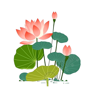 卡通水生植物粉色荷花插画