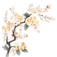 金边花枝 PNG高清图形素材-商业设计元素