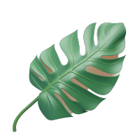 植物叶子素材