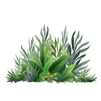卡通唯美绿色草丛插画商用png