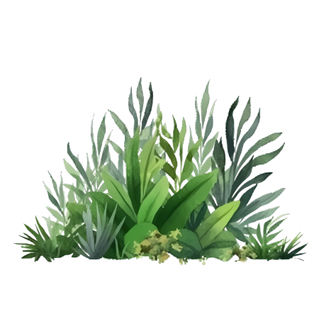 卡通唯美绿色草丛插画商用png
