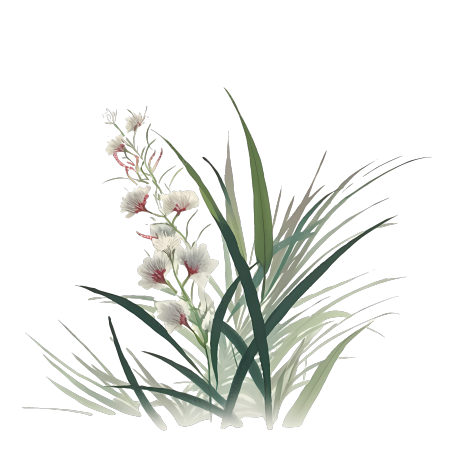 浪漫淡雅兰花草PNG图形素材