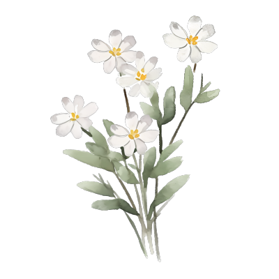 温柔白色花朵水彩画素材