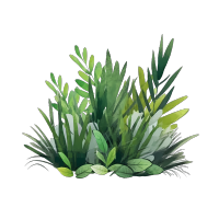 手绘绿色草丛平面插画素材