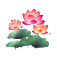 手绘绿色荷叶粉色渐变荷花插画