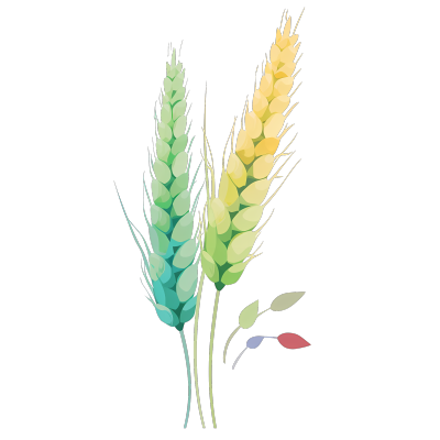 成熟的小麦麦穗PNG图形素材