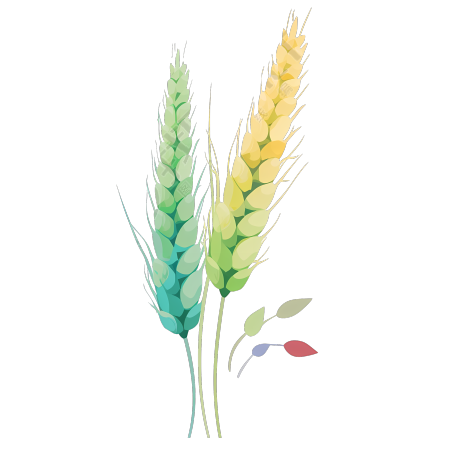 成熟的小麦麦穗PNG图形素材