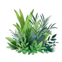水彩画风格草丛png插画