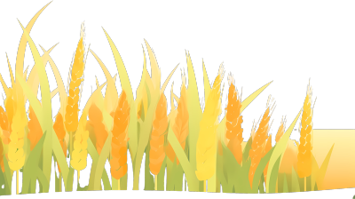 金黄成熟麦田透明背景图形素材