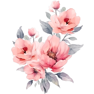 小清新浅粉色花朵商用png插画