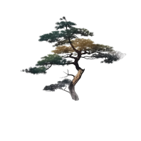 古风墨渐松树PNG素材