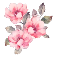 手绘水彩粉色花朵PNG图形素材