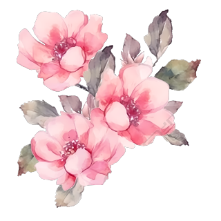手绘水彩粉色花朵PNG图形素材