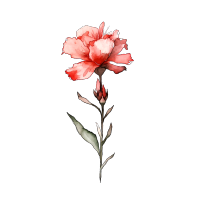 古风墨渐小红花PNG插画素材