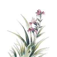 干净清新复古渐变兰花插画素材