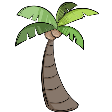 卡通椰子树结满果子插画素材