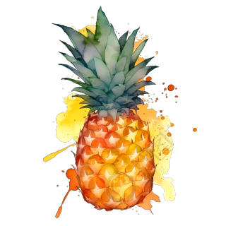 透明背景水果菠萝插画素材