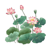 透明背景手绘粉色莲花插画素材