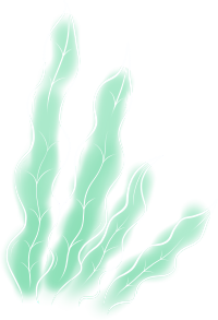 手绘浅绿色海草PNG插画