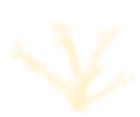 浅黄色珊瑚海洋生物PNG素材