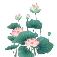高清荷花插画设计素材