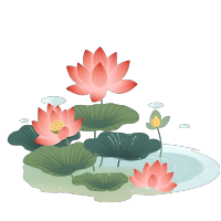 手绘荷花插画PNG素材