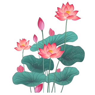 可商用色彩鲜艳的莲花插画素材