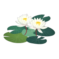 清新莲花插画PNG素材