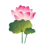 莲花荷叶粉色渐变扁平插画设计素材