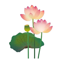 莲藕莲花和荷叶创意图形素材