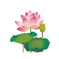 盛开的莲花荫莲藕插画设计元素