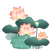 水生植物漂亮的荷花插画素材