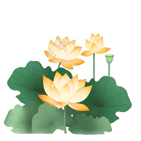 清新淡黄荷花图形设计PNG素材