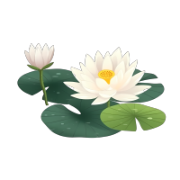 清新莲花插画设计元素PNG素材