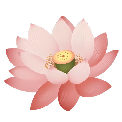 淡粉色莲花盛开图形素材