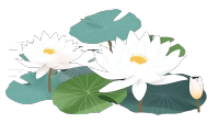 清新莲花插画设计元素