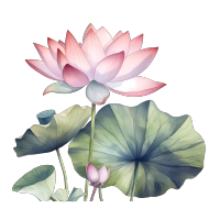 盛开的荷花与蜻蜓光粉渐变平面插画