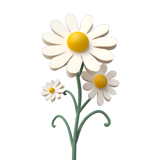 3D立体白色雏菊png素材