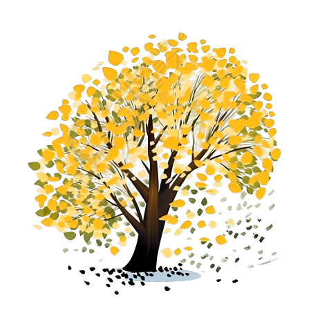 透明背景银杏树插画设计素材