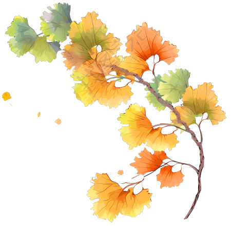 水彩画银杏树叶PNG图形素材
