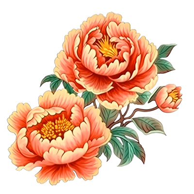 中国风格鲜花插画花卉PNG素材