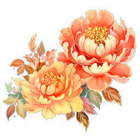 国画牡丹花中国元素的精细插画设计