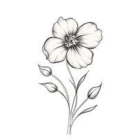 清新简约花卉线稿插画素材