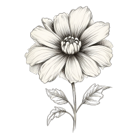 清新简洁花卉插画素材